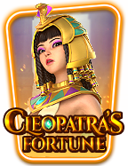 พนันบอลรวยจริงหรือ สนุกมันส์แบบเต็มพิกัด